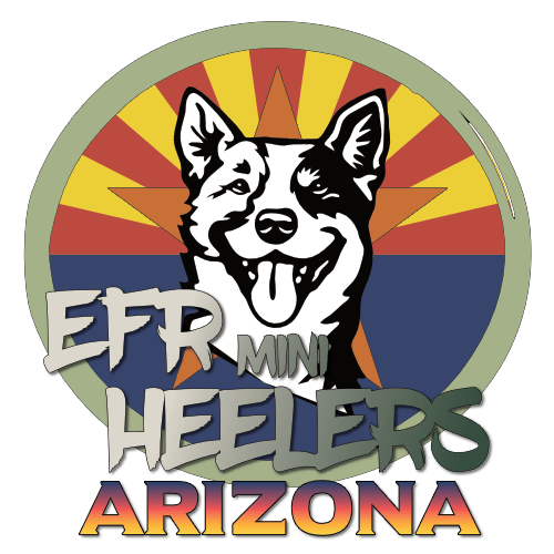 EFR Mini Heelers – Arizona